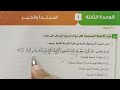تدريبات المبتدأ والخبر بكتاب الامتحان 2023 للصف الثالث الثانوي 
