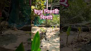 Jerry is caught by Tom