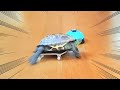 猫が好きすぎてダンスを踊るスケボー亀【A skateboarding turtle that loves cats so much it dances】