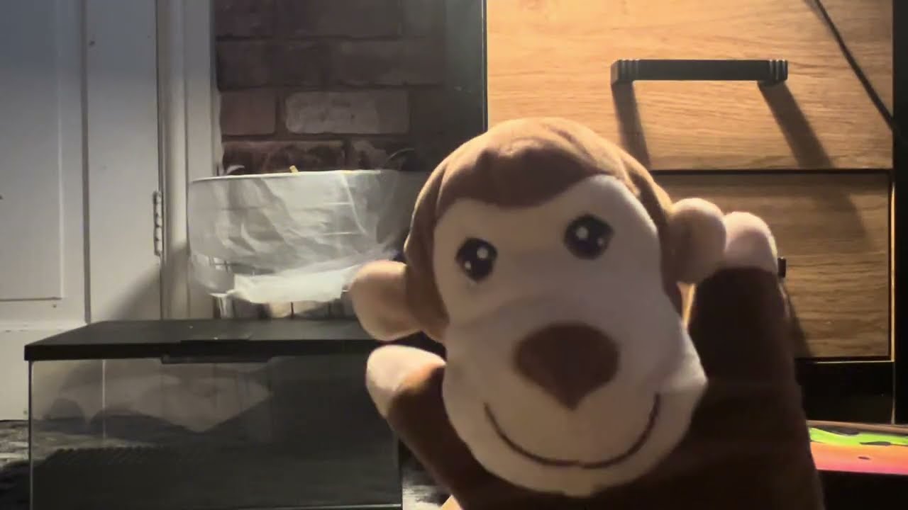 Monkey's Comedy Show