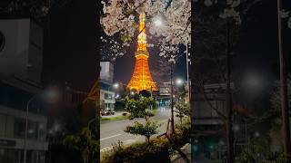 Tokyo Tower 🗼🌸 - Minato City, Tokyo #japan #travel #tokyotower