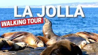 La Jolla, San Diego Walking Tour  - 2024 - 4K 60fps