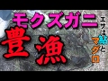 途中、カニ捕り名人乱入!!! 秘伝のエサを伝授される！