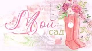 Коллекция «Мой сад» Коллекция «Мой сад»
