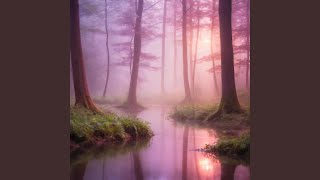 Harmonious Echoes