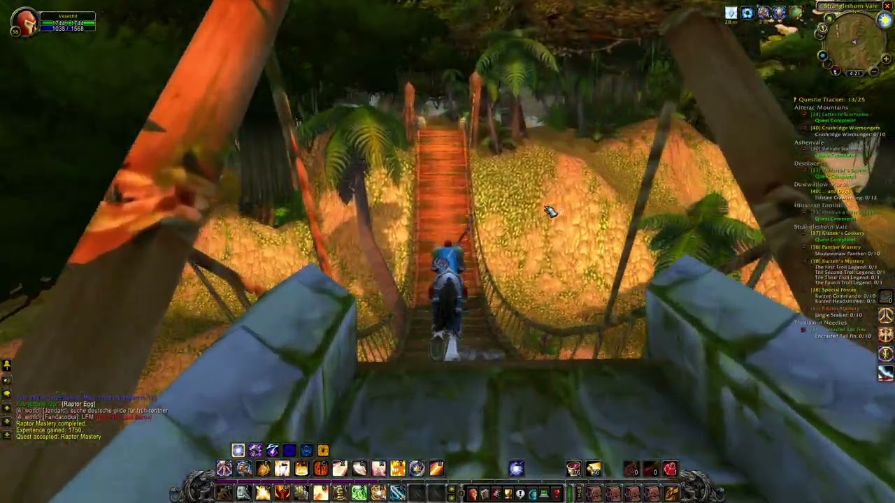 WoW anniversary Paladin gameplay