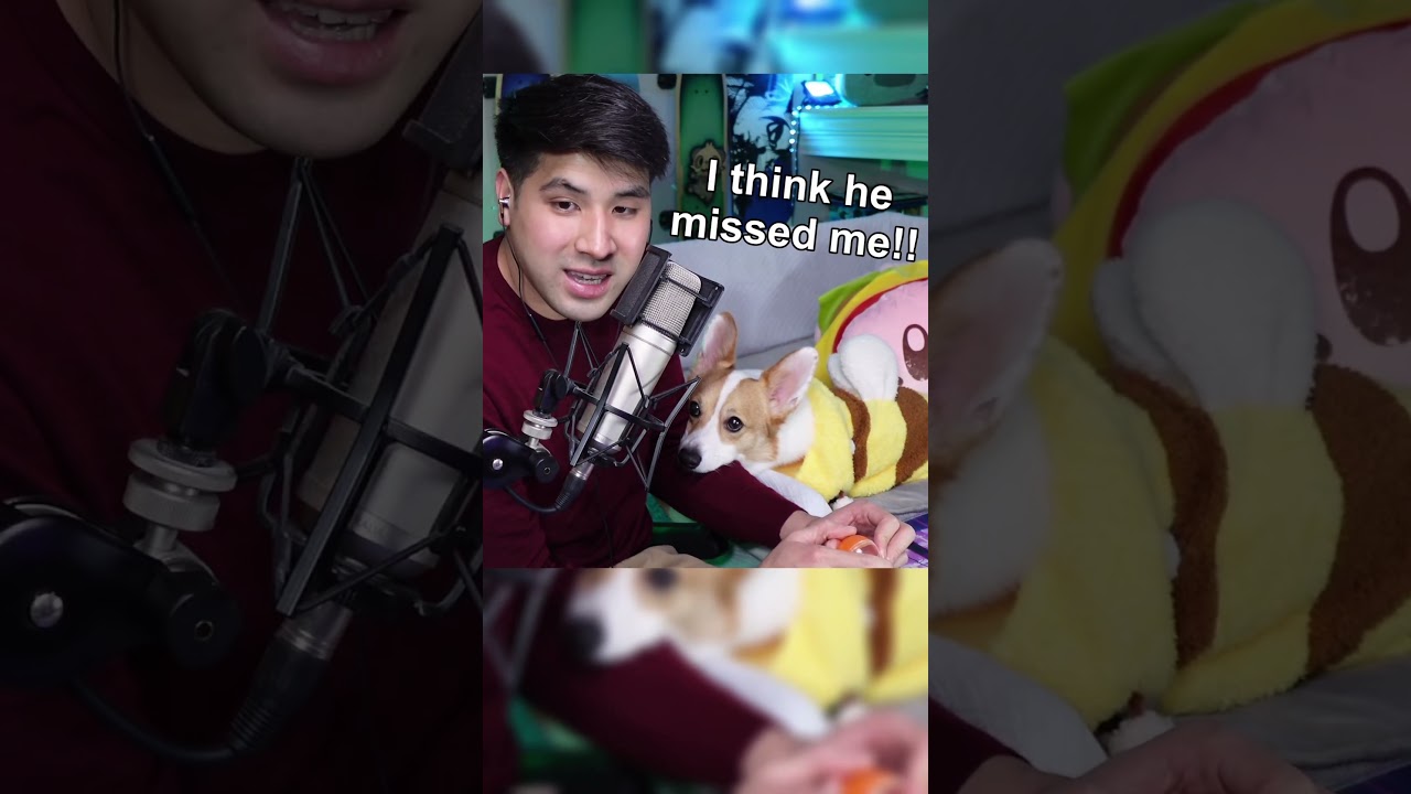 Скучали по мне? 