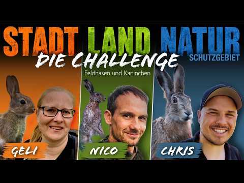 3 Photographers, 1 Subject: Photographing Hares & Rabbits with @gelikaba & @nicosonnabend