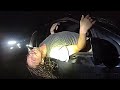 Man Hanging Out of Car Window Results in MDMA and Narcotics Seizure from Disabled Vehicle