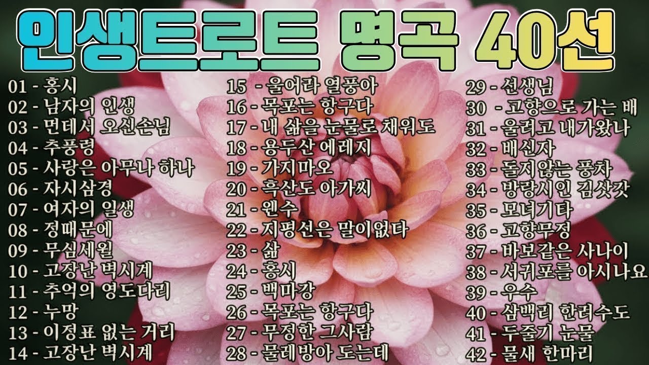 흘러간 옛노래 뽕짝 메들리 가사 포함 💕 광고없는 트로트노래모음 🎶 듣기좋은 트로트메들리