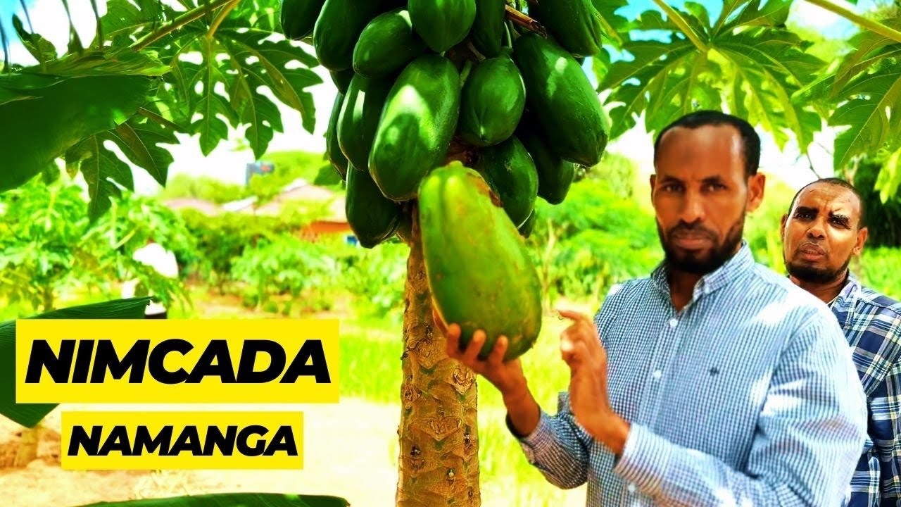 Nimcada Namanga Taala Iyo Ganacsade Soomaali ah oo 20 Sano Canada ku Noolaa oo soo degay.