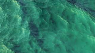 Alp Bagci Tvm - Return Of The Reptilians