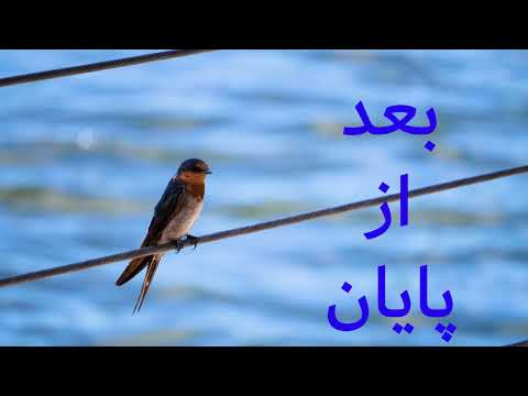 بعد از پایان قسمت هشت     8