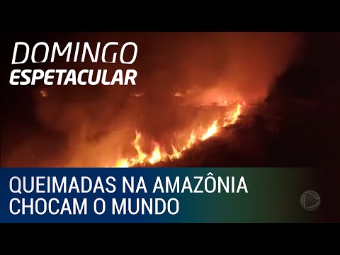 Vídeo: Qual amazona está pegando fogo?