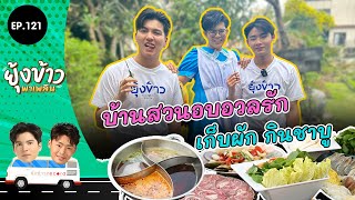 ยุ้งข้าวพาเพลิน EP.121 I บ้านสวนอบอวลรัก เก็บผัก กินชาบู