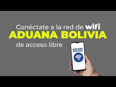 Escanea el código QR del formulario 250 para entrar o salir de Bolivia