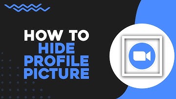 How To Hide Profile Picture in Zoom (Quick Tutorial)