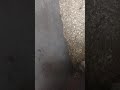 Изготовление гранул