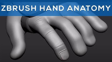 Stylized Hand Anatomy | Stylized Game Art: Character Sculpting for Video Games | 4.0