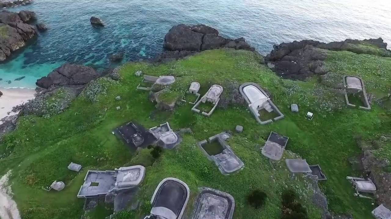 未来のルーシー 一条真也の新ハートフル ブログ
