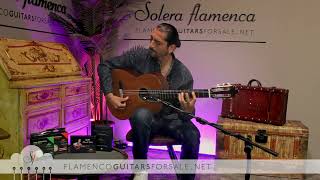 Francisco Barba 2023 (Sequoia/Indian R.) flamenco guitar for sale played by José Andrés Cortés