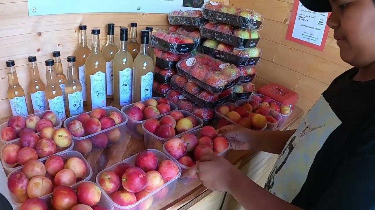 Beautiful Flåm/Låtefoss/Flåmsbana/Day 2