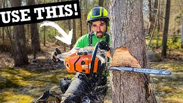 DROP A TREE WHERE YOU WANT IT