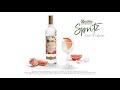 Ketel one botanical  grapefruit and rose spritz