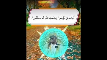 تلاوة مؤثرة جدا مع القارئ الدولى الشيخ عبدالرحمن أحمد القمري 
