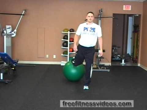 FreeFitnessVideos.com: Swiss Ball Single Leg Squat with Mobility - YouTube