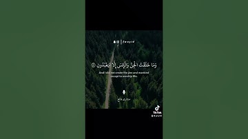 مشاري فالح - سورة الذاريات