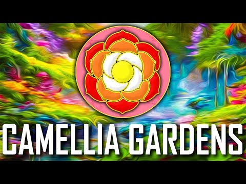 Camellia Gardens - Australia - Curating Curious Curiosities