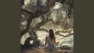 Inner Light Shining Through Silence