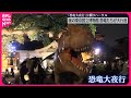 恐竜大夜行リハーサル🎉夜の上野博物館を恐竜たちが大行進！