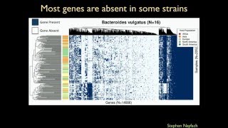 Celebrity Decoding the Human Microbiome Profile