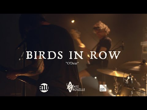 Birds in Row - O'Dear