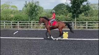 Advert reference - 305359