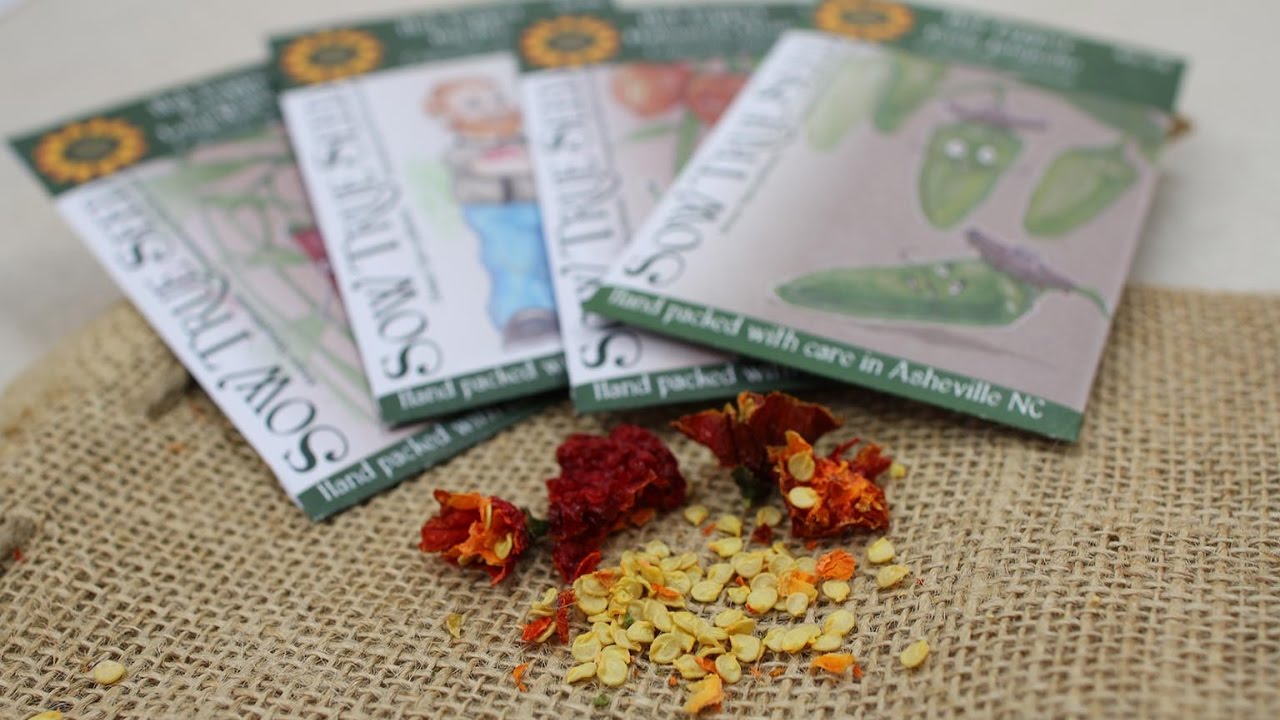 Starting Peppers and Eggplants from Seed