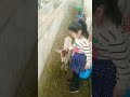 Tera mujhse hai pahle ka naata koi | cow lover | goshala #cow #goshala #goseva #dil