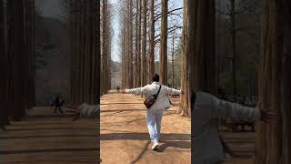 I am here in Nami island to experience winter sonata vibe , tara!