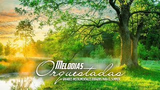 This Romantic  Makes You Happy And Calm  Top 50 Guitar  For Summer