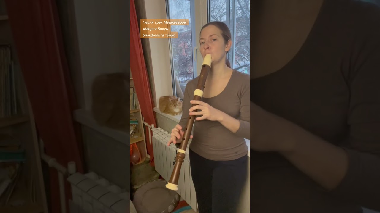 Песня Трёх Мушкетёров «Мерси Боку» - блокфлейта тенор