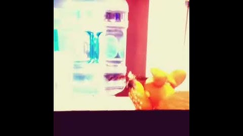 EDDIE (clip from that puppet game show)