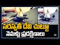 Peacocks circle around Goddess Saraswati statue, viral video