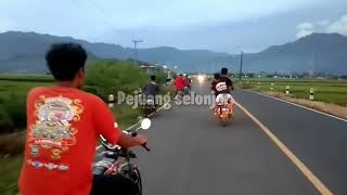 Herex munjungan trenggalek!!! Pasukan selonjor