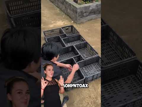 🎬 Video relacionado con cajas de plástico