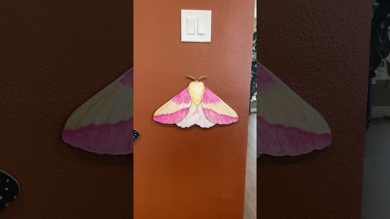 Should I cut it up!? 