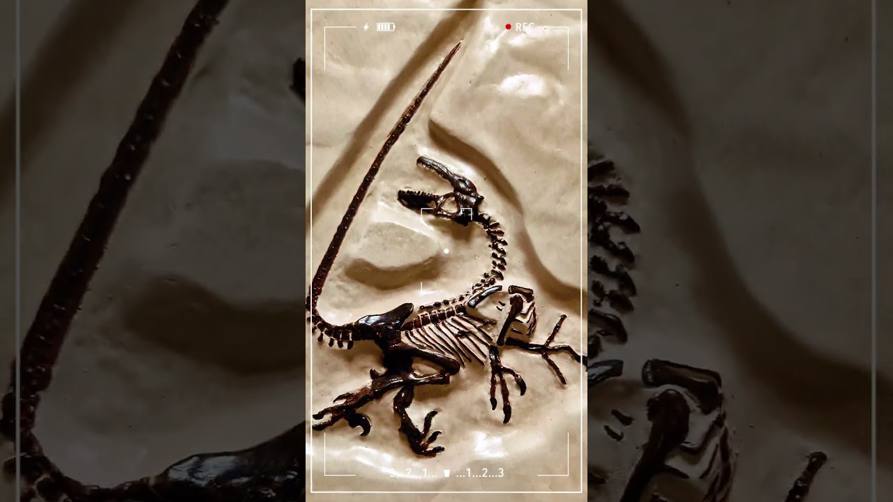 Am 05.10.24 im Smyths Toys Superstore Kaiserslautern.  www.jurassic-tracks.eu