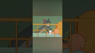 Tom Y Jerry En Español Dúo De Cans