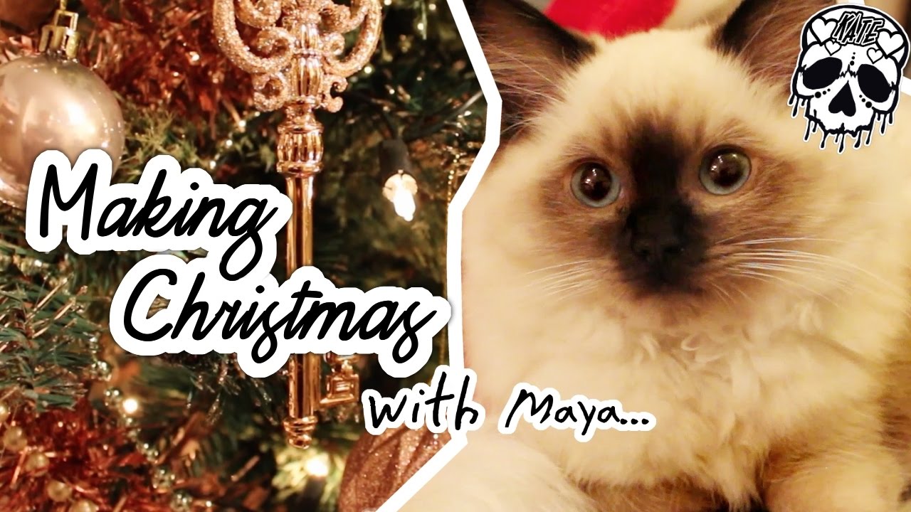 Making Christmas (With Maya!) - Ragdoll Kitten helps decorate for her ...